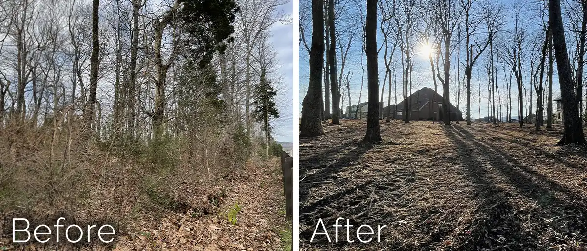 A detailed close-up of a red and black FAE forestry mulching head with sharp cutting teeth, caked in wood chips, resting on fresh mulch next to a green forest.