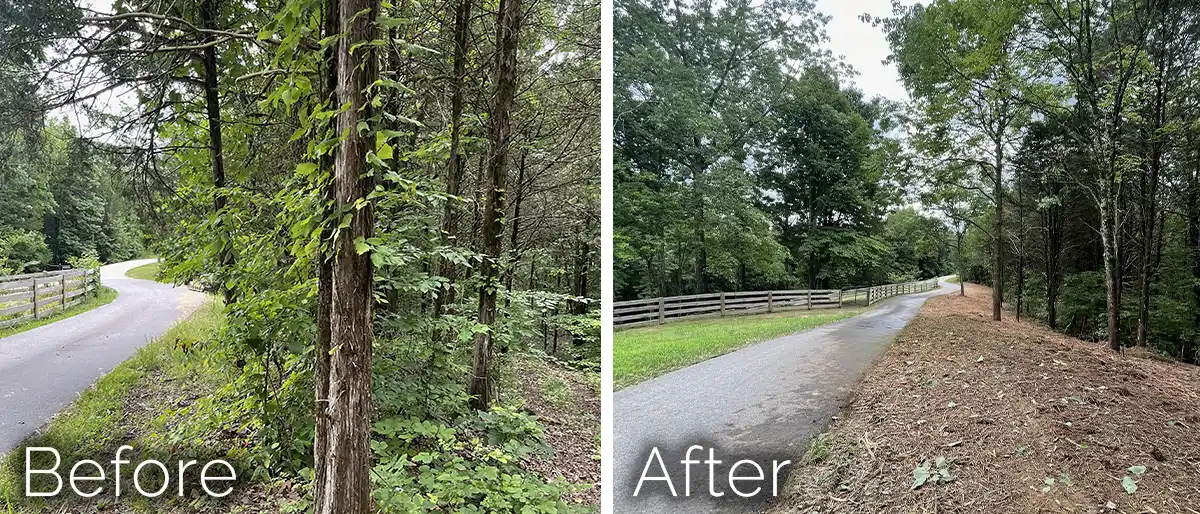 Yellow CAT hydraulic excavator actively uprooting a tree stump and clearing debris in a dense Florida pine forest under a blue sky.