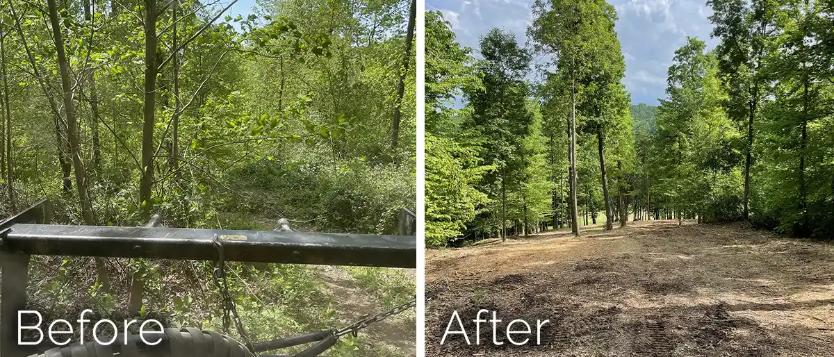 Yellow CAT excavator with a forestry mulching head attachment clearing trees in a Florida forest.