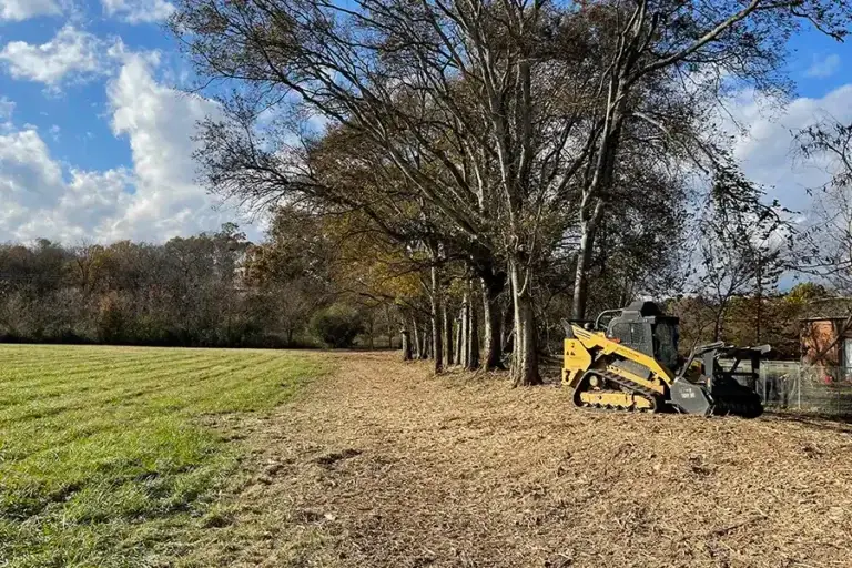 Close-up of a straight wire fence line with wooden posts set in freshly mulched dark soil, dividing a cleared area from a dense forest under a blue sky.