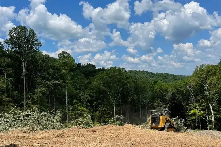 A close-up action view of a large yellow tracked excavator using its clawed bucket and hydraulic power to move and consolidate a massive pile of uprooted trees and branches on a land clearing site, with a dense green forest in the background under a blue sky.