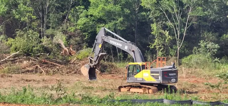 Yellow and black Volvo excavator performing site preparation and underbrush removal on a partially cleared lot.